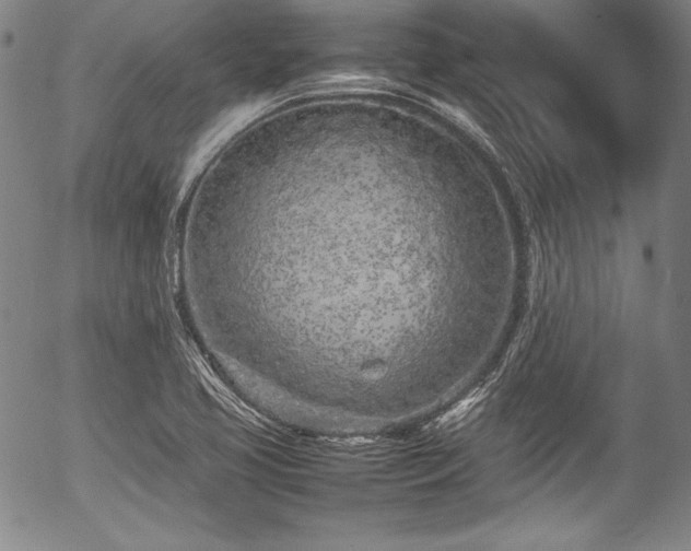 X0000054391413200508011241