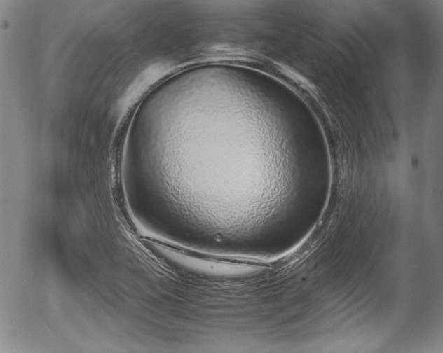 X0000054391415200508011241