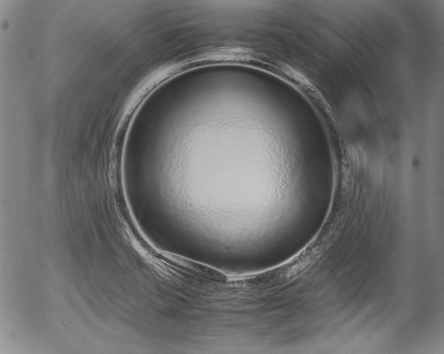 X0000054391421200508011241