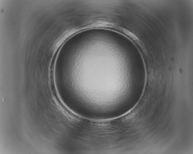 X0000054391423200508011241
