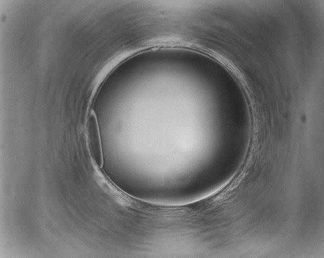 X0000054391440200508011241
