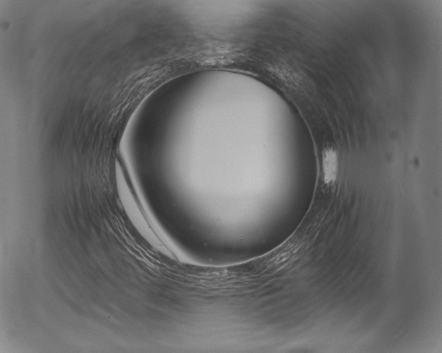 X0000054391444200508011241