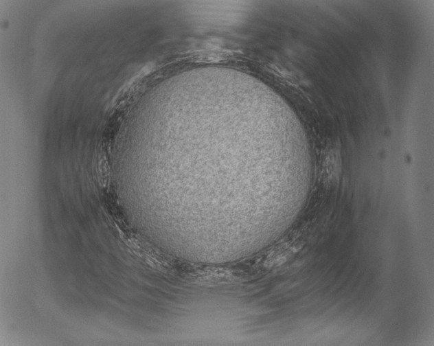 X0000054391446200508011241