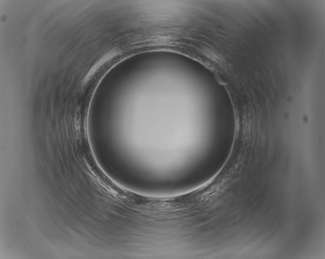 X0000054391450200508011240