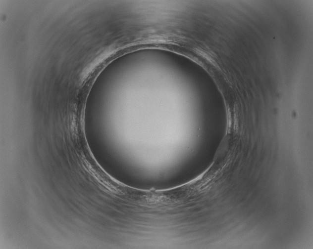 X0000054391452200508011240