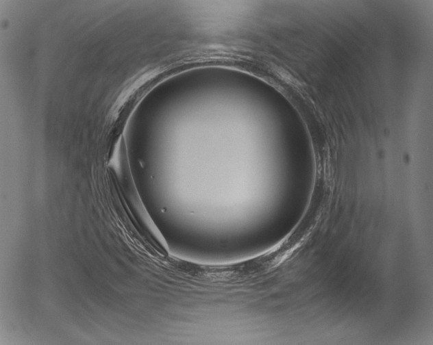 X0000054391453200508011240