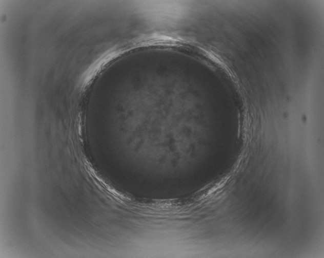 X0000054391455200508011240