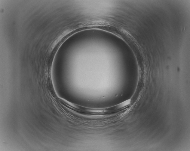 X0000054391457200508011240