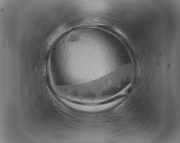 X0000054391459200508011240
