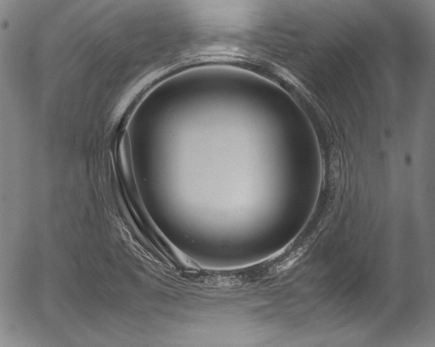 X0000054391461200508011240