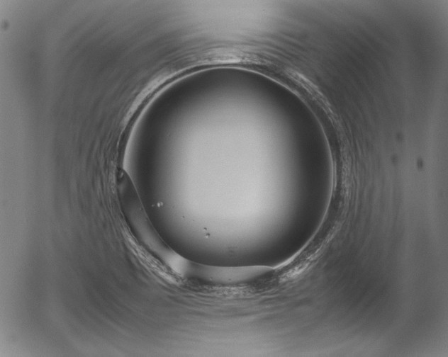 X0000054391465200508011240