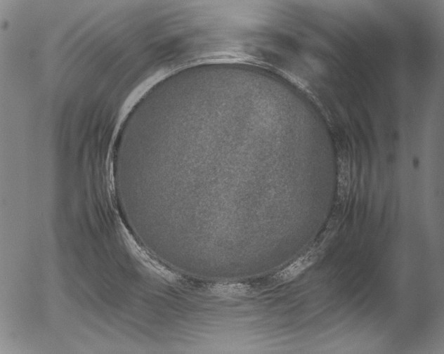 X0000054391466200508011240