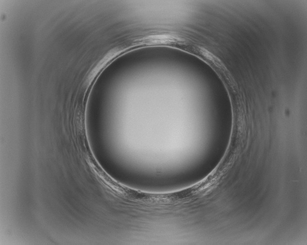 X0000054391473200508011240