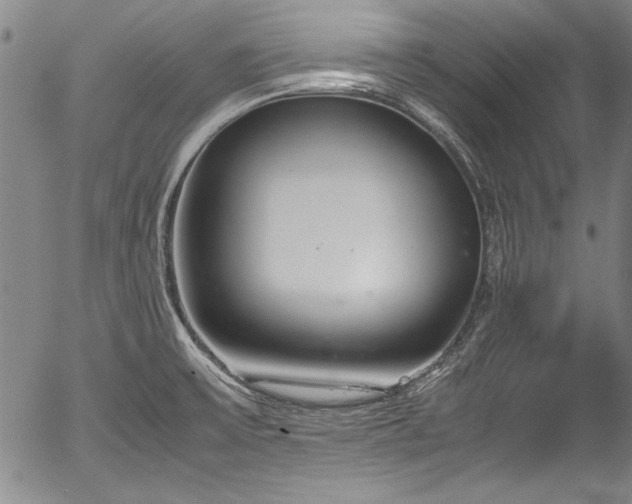 X0000054391475200508011240