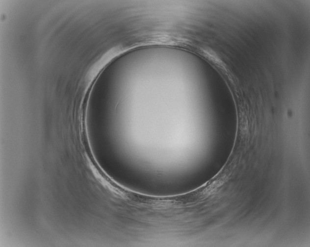X0000054391479200508011240