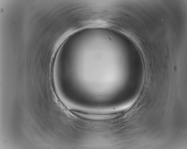 X0000054391488200508011240