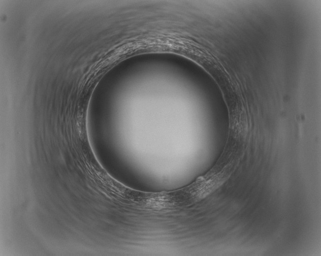 X0000054391490200508011239