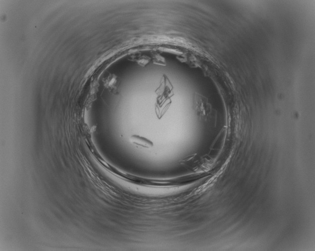 X0000054391497200508011239