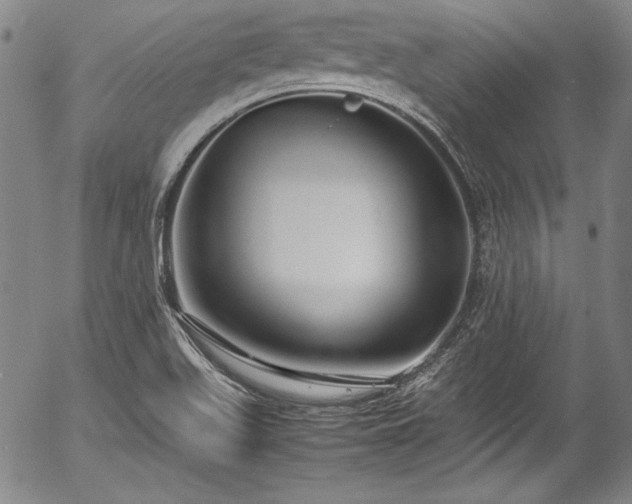 X0000054391511200508011239