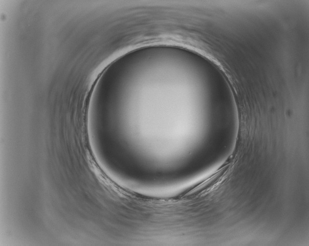 X0000054391534200508011240