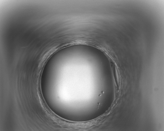 X0000054390001200508051659