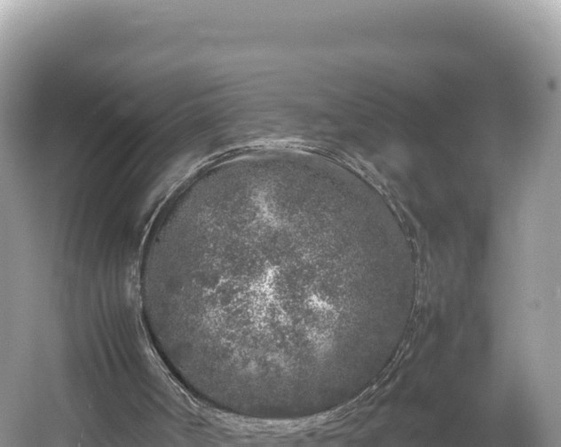 X0000054390002200508051659