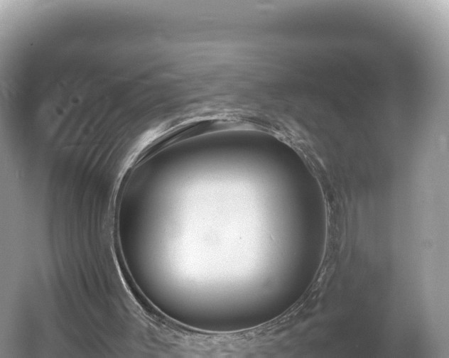 X0000054390003200508051659