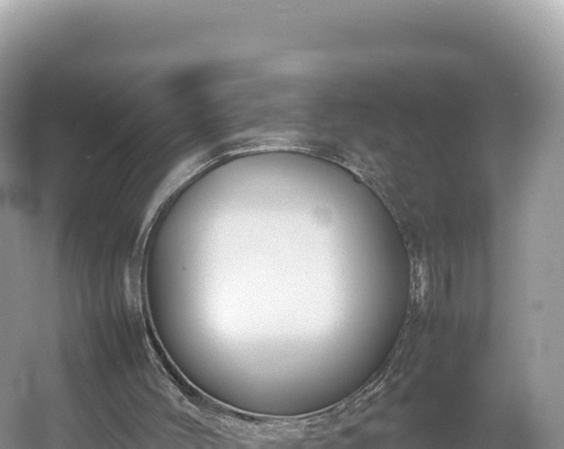 X0000054390004200508051659