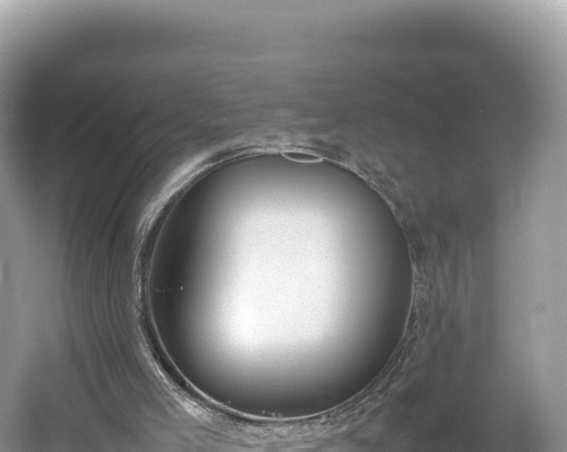 X0000054390005200508051659