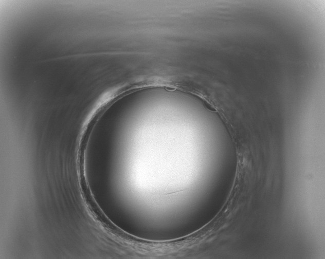 X0000054390006200508051659