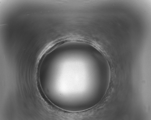 X0000054390007200508051659