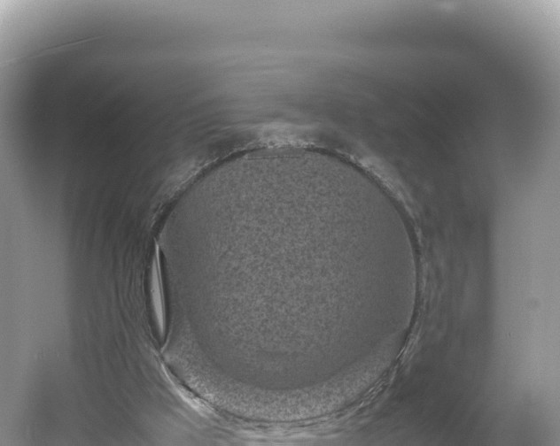 X0000054390009200508051659