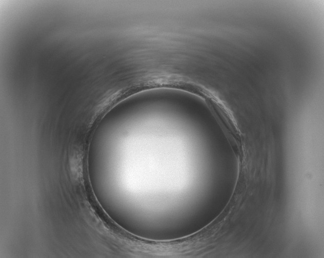 X0000054390010200508051659