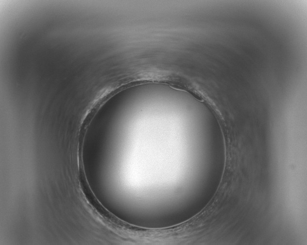 X0000054390011200508051659