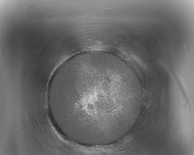 X0000054390012200508051659