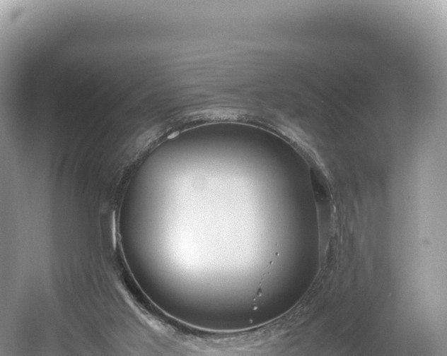 X0000054390013200508051659