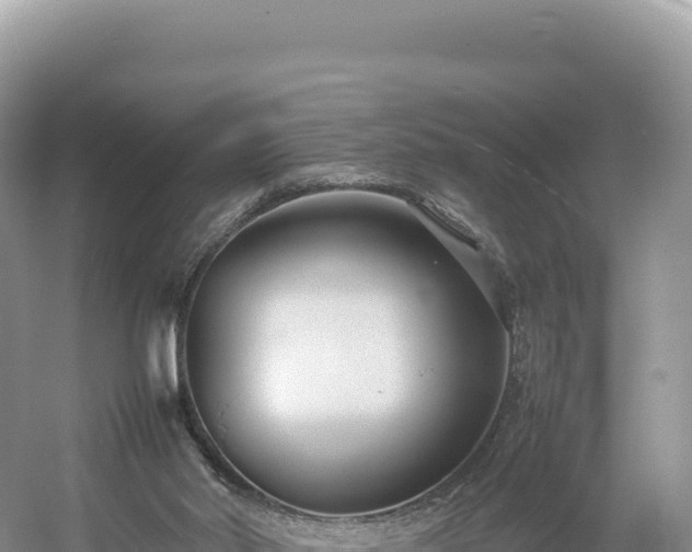 X0000054390014200508051659