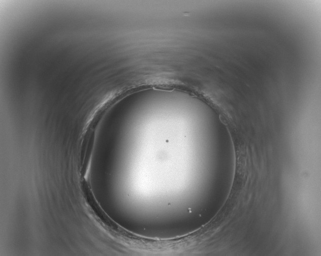 X0000054390015200508051659