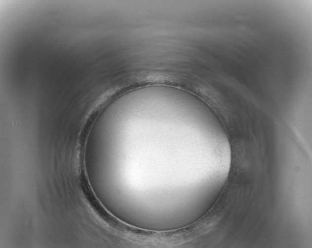 X0000054390016200508051659