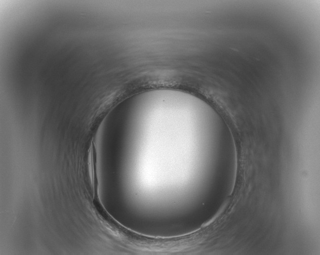 X0000054390017200508051659