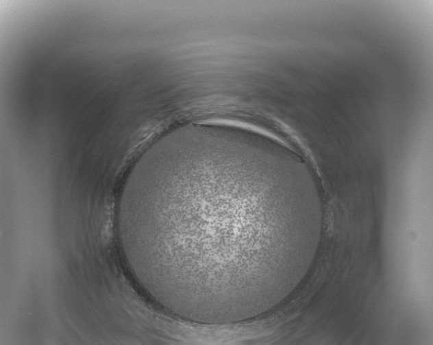 X0000054390018200508051659