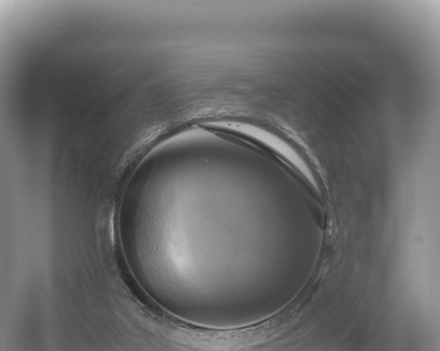 X0000054390019200508051659