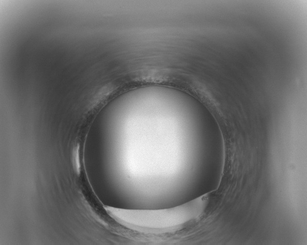 X0000054390020200508051659