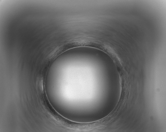 X0000054390021200508051659