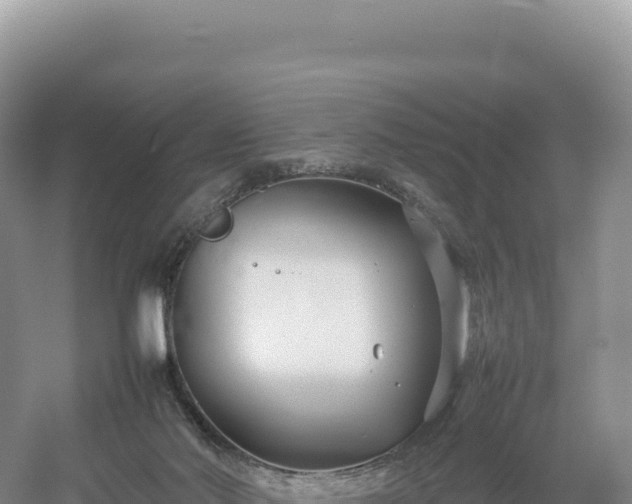 X0000054390022200508051659