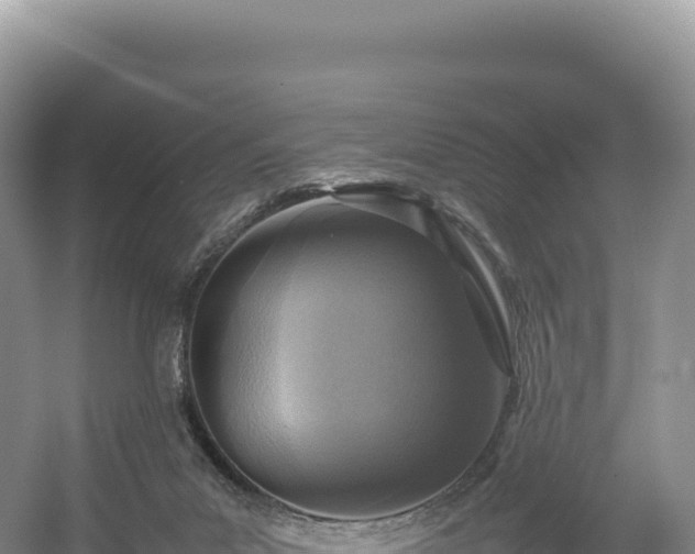 X0000054390023200508051659