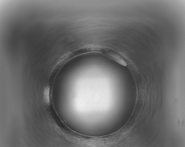 X0000054390024200508051659