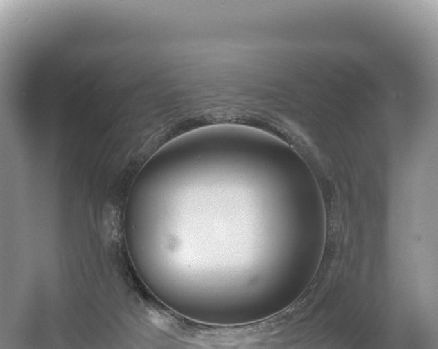 X0000054390025200508051659