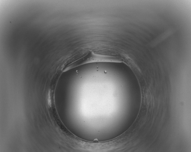 X0000054390026200508051659