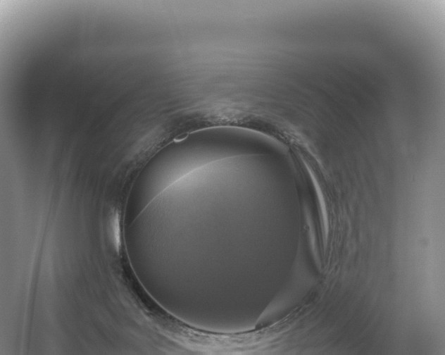 X0000054390027200508051659